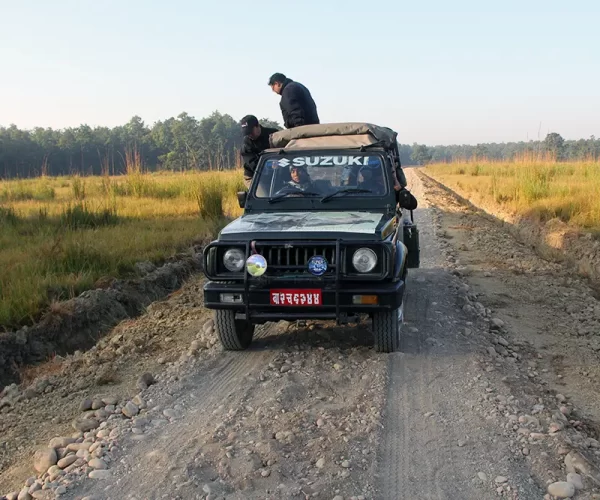 Bardia Luxury Safari