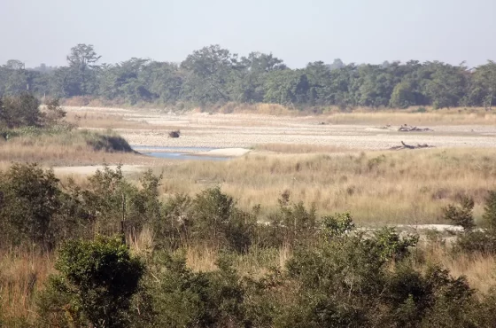 Bardia Safari Standard Tour