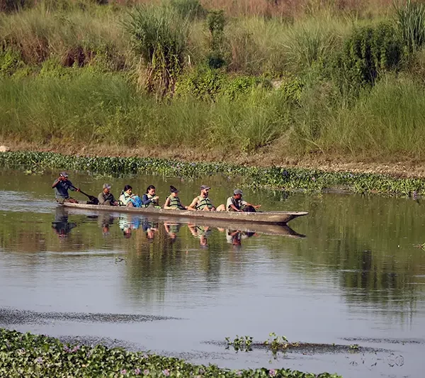 Chitwan Standard Safari