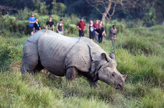 Chitwan Luxury wildlife Safari